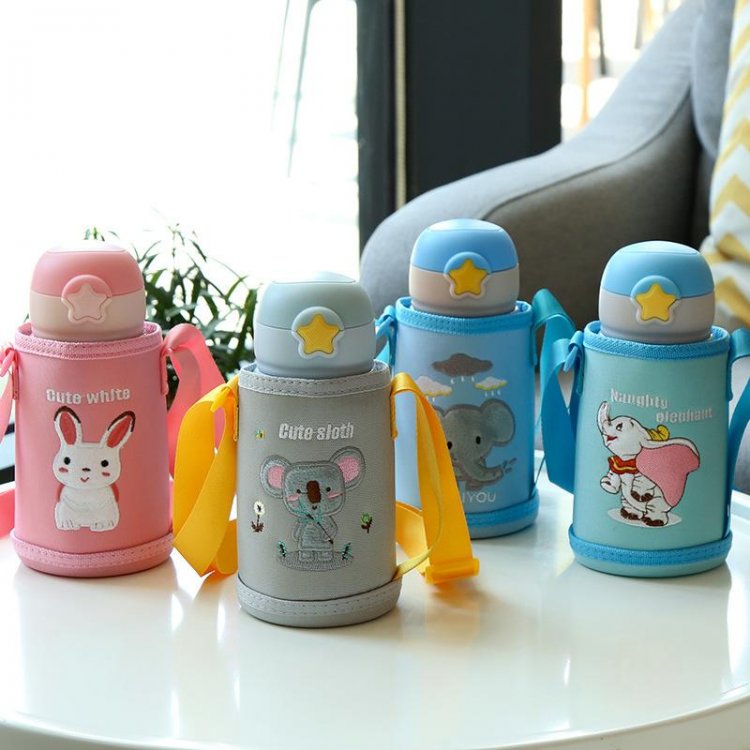 Glass VS Stainless Steel VS Plastic Vacuum Flask, Which One Is the Best